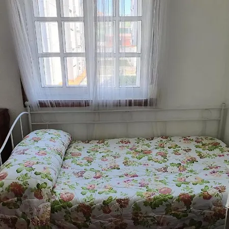 Familia Y Grupos Luces Navidad Apartment